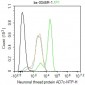 Neuronal thread protein AD7c-NTP Rabbit pAb